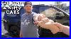 Fist-Bumps-And-Kitty-Cats-Reselling-Behind-The-Scenes-Reselling-01-by